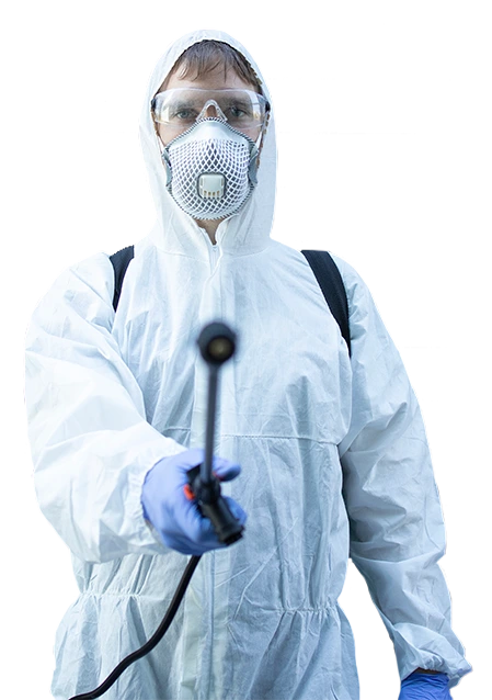 irto-trio-kartevo.irtas